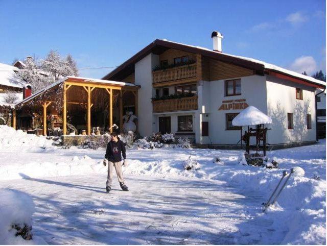 Rodinne Apartmany Alpinka أوسكادنيكا المظهر الخارجي الصورة